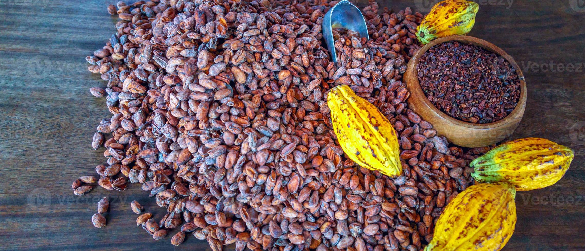 Los nibs de cacao son granos de cacao que se han molido en frío o se han molido a bajas temperaturas para formar pequeños granos de cacao orgánicos amargos. foto