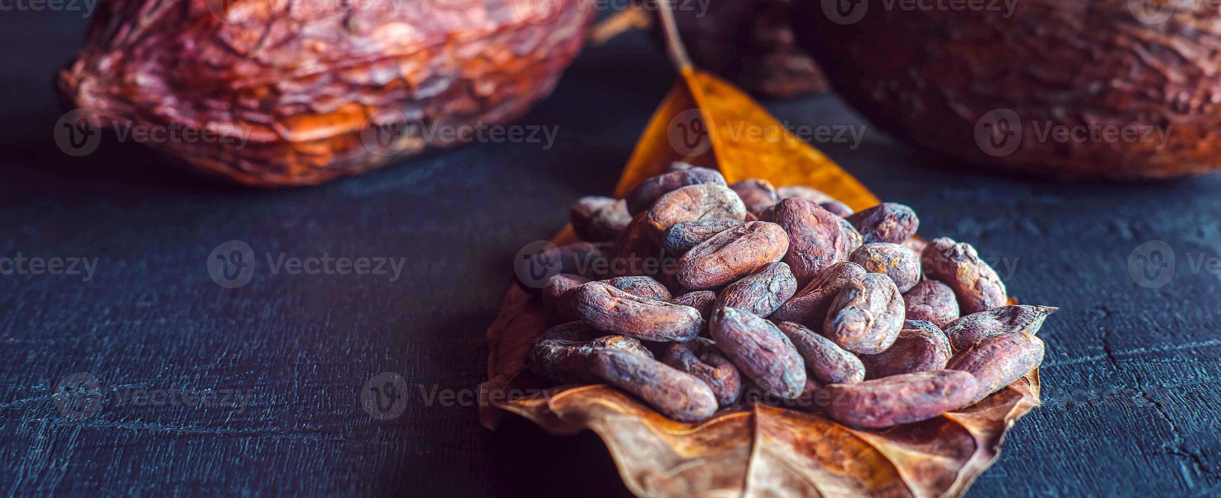 Close-up of dried brown cocoa beans on cocoa leaves, raw material for making chocolate. photo