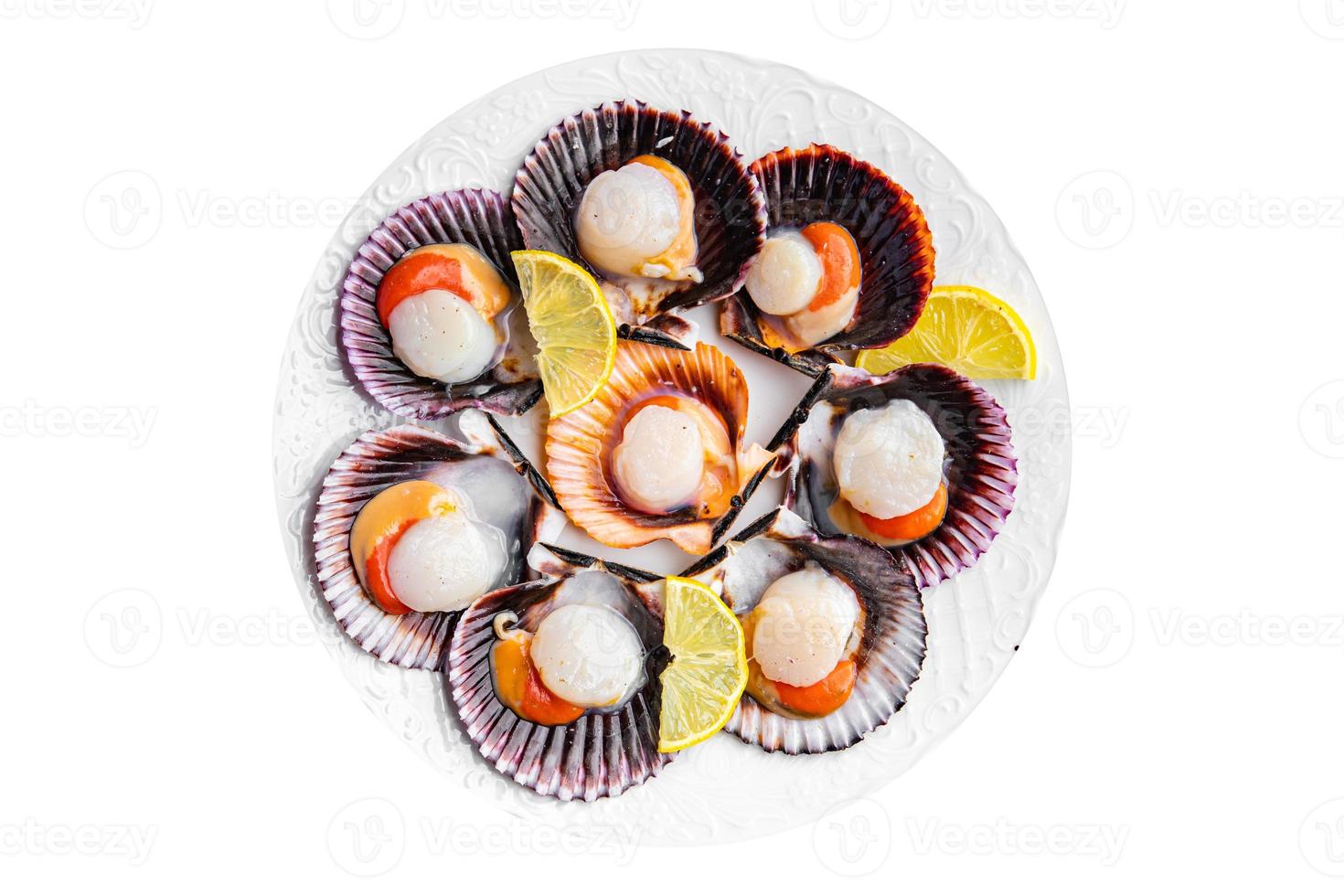 fresh scallop shell seafood meal snack on the table copy space food background rustic top view photo