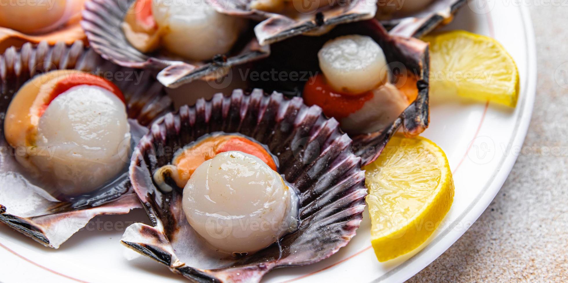 fresh scallop shell seafood meal snack on the table copy space food