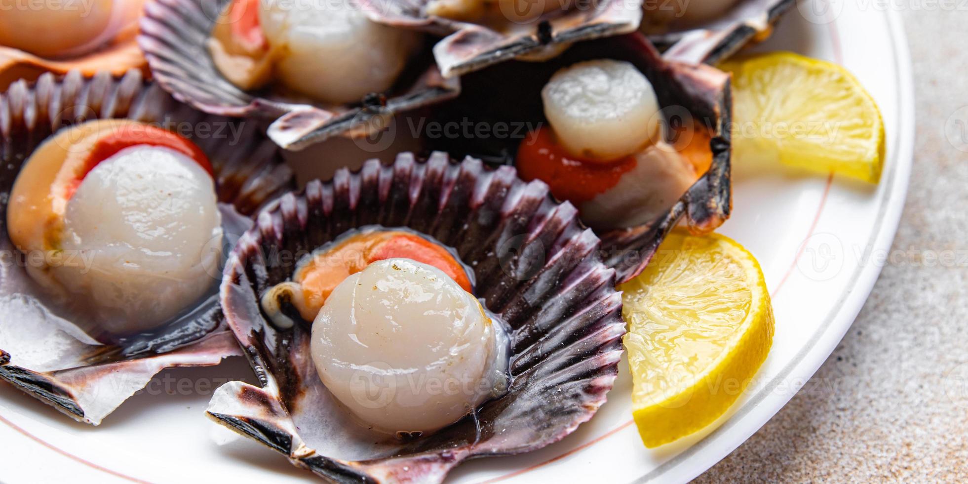 Fresco Vieira cáscara Mariscos comida bocadillo en el mesa Copiar espacio comida antecedentes rústico parte superior ver foto