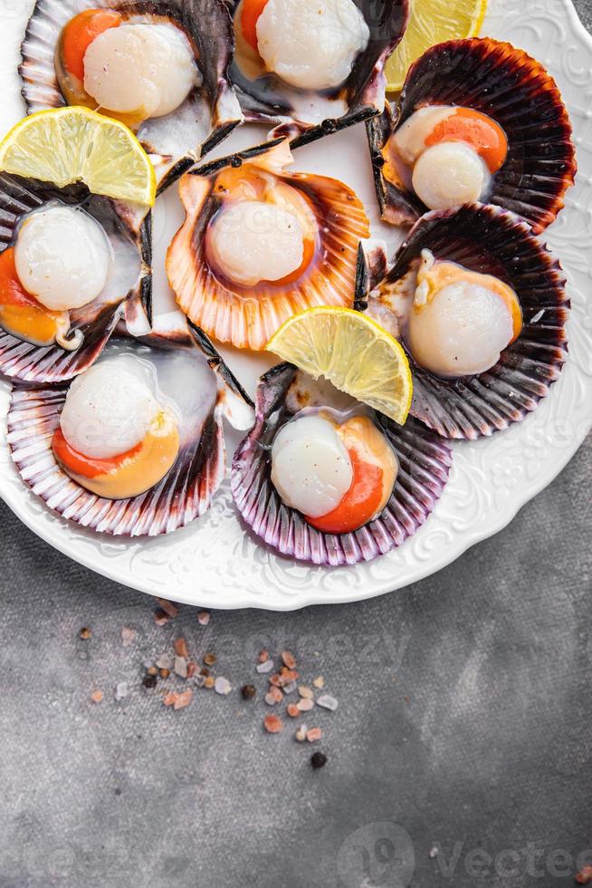 fresh scallop shell seafood meal snack on the table copy space food background rustic top view photo