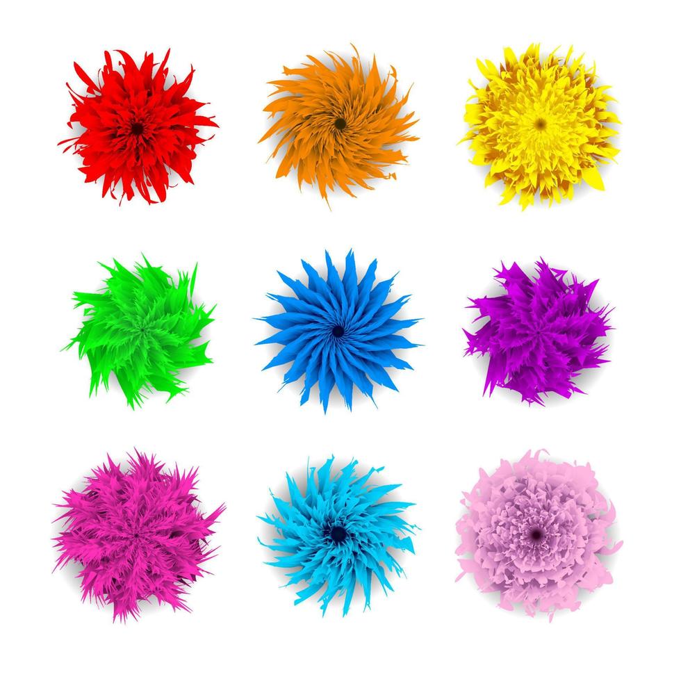 Flowers colorful vector set isolated in white background. Big set of beautiful colorful flowers. Vector illustration