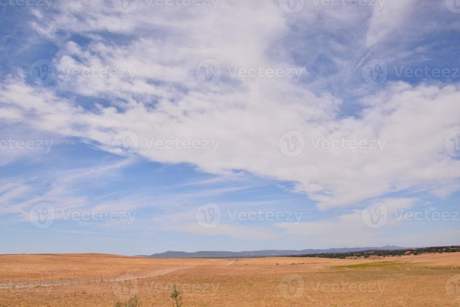 Scenic rural landscape photo