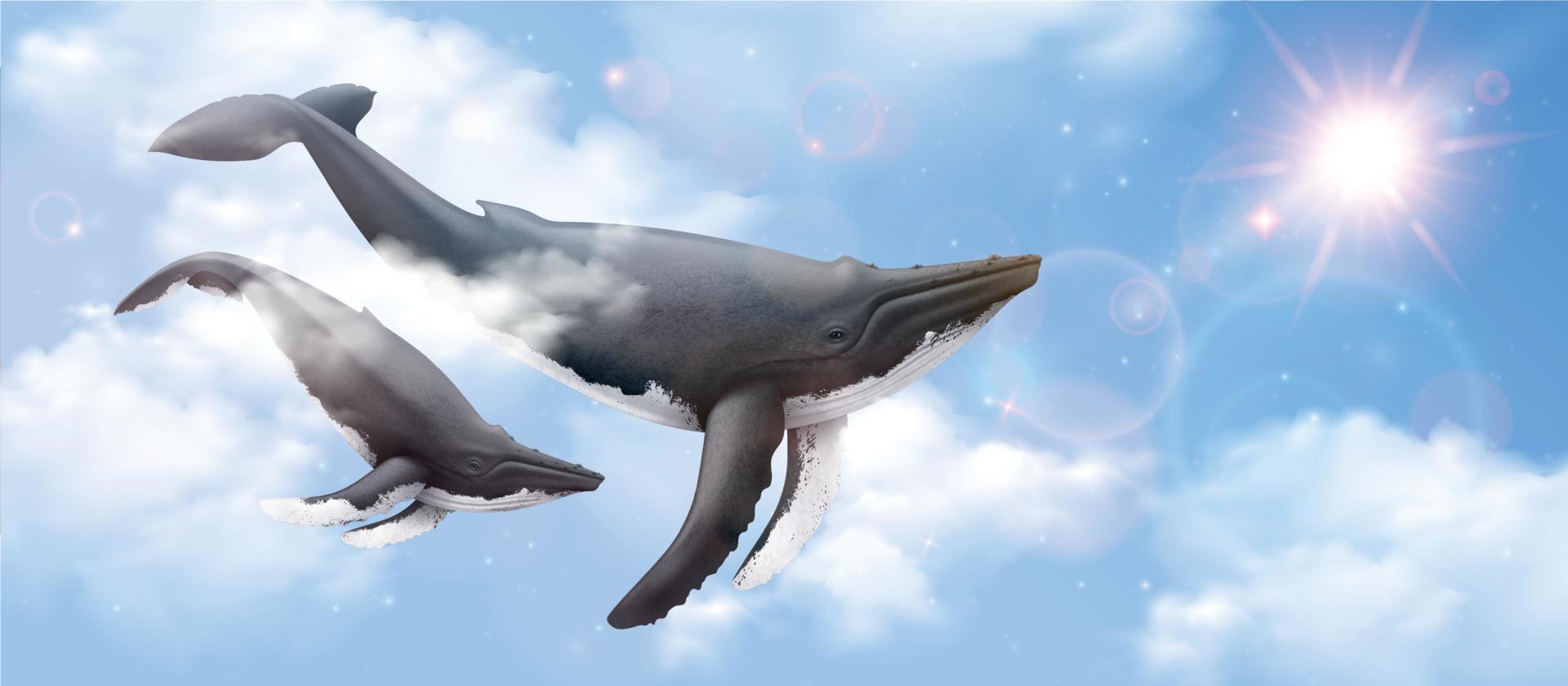 Flying Whale Realistic Background vector