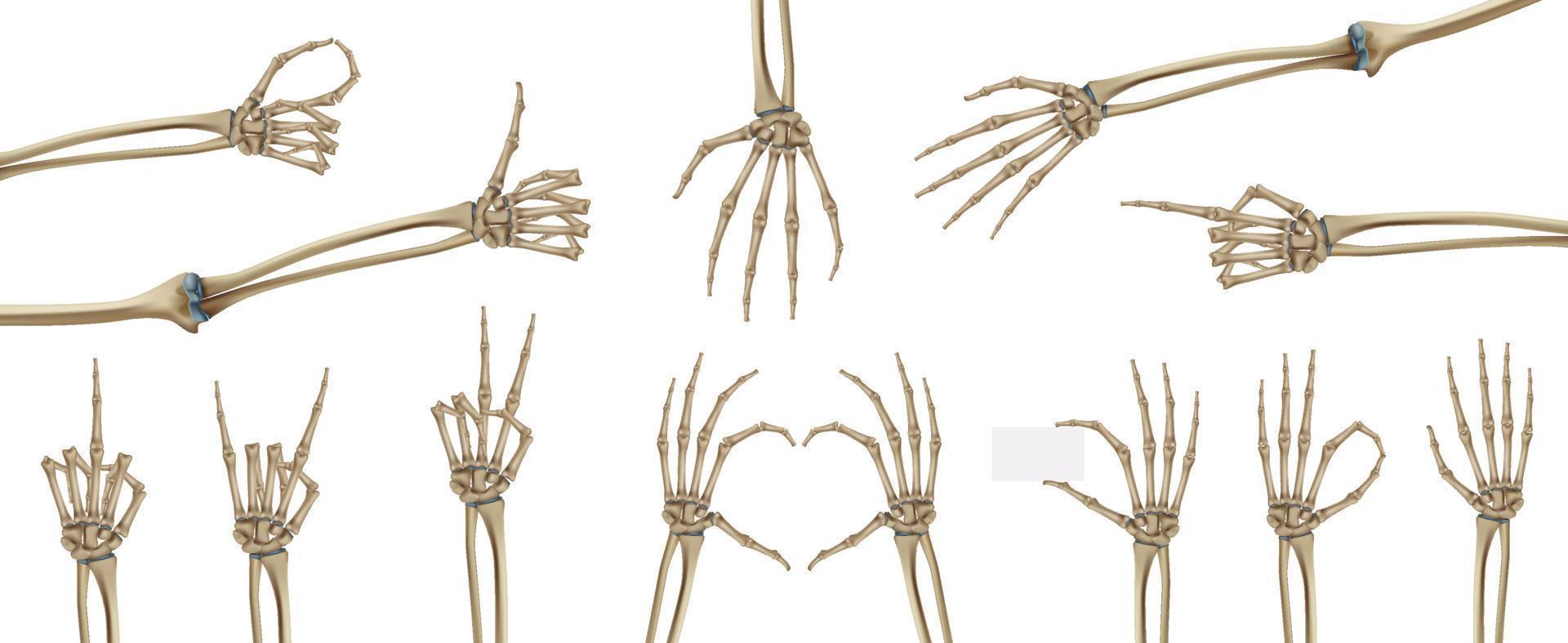 Skeleton Hands Icon Set vector