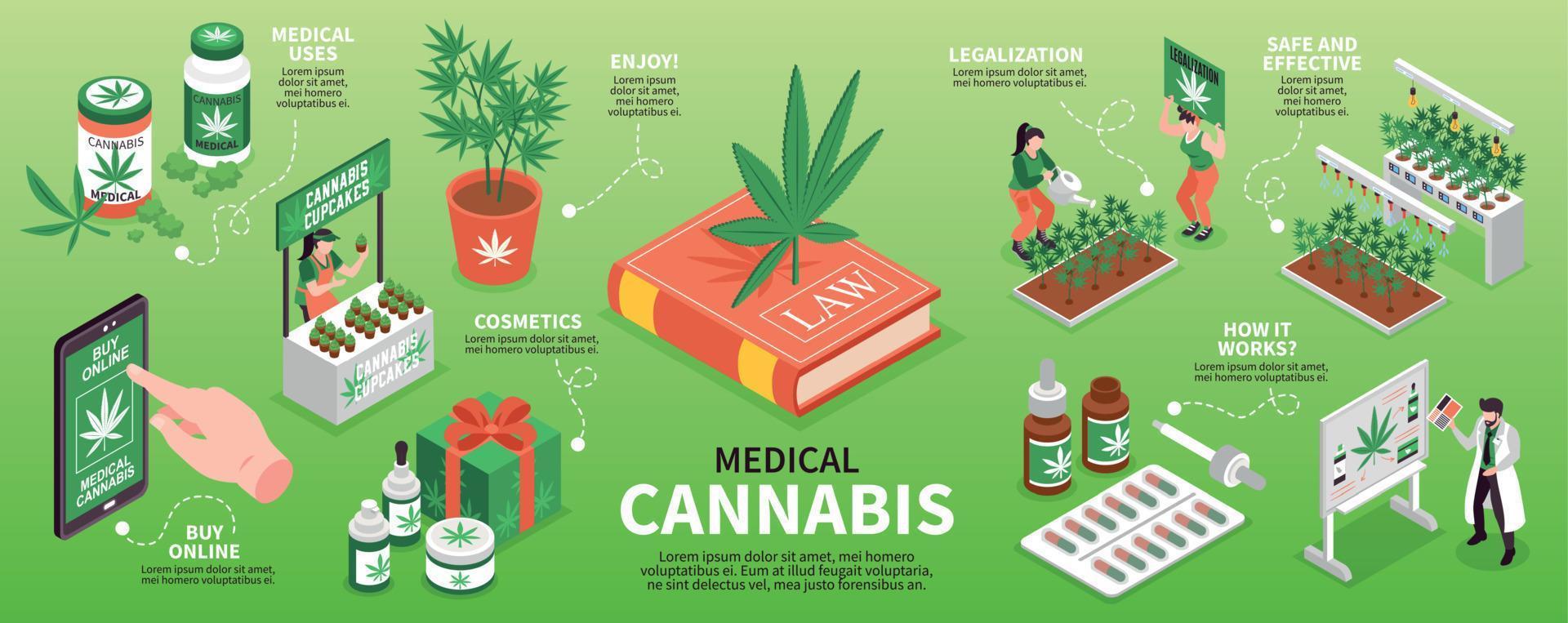 Medical Cannabis Isometric Infographics vector