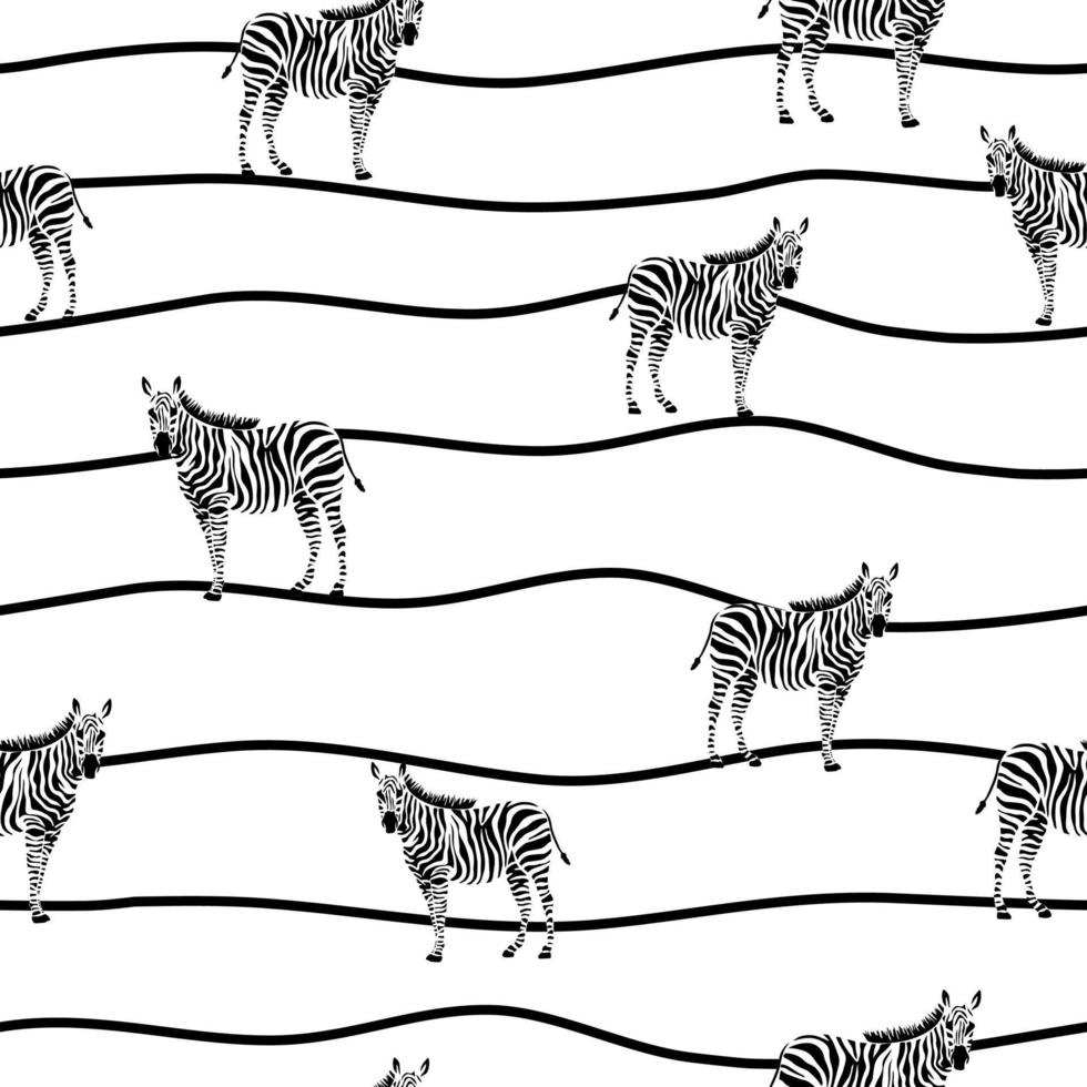 Zebra vector seamless texture on strip background.