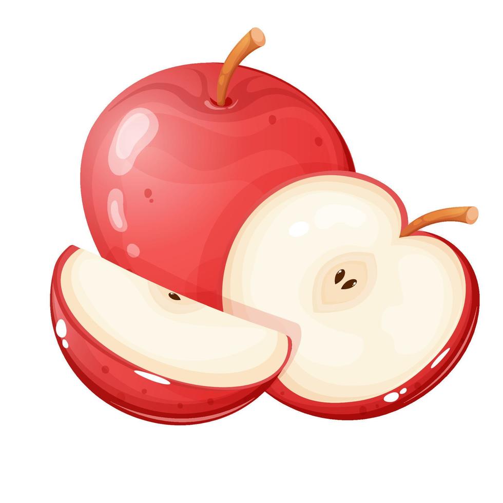 Cartoon style whole red apple with small and big apple slices. vector