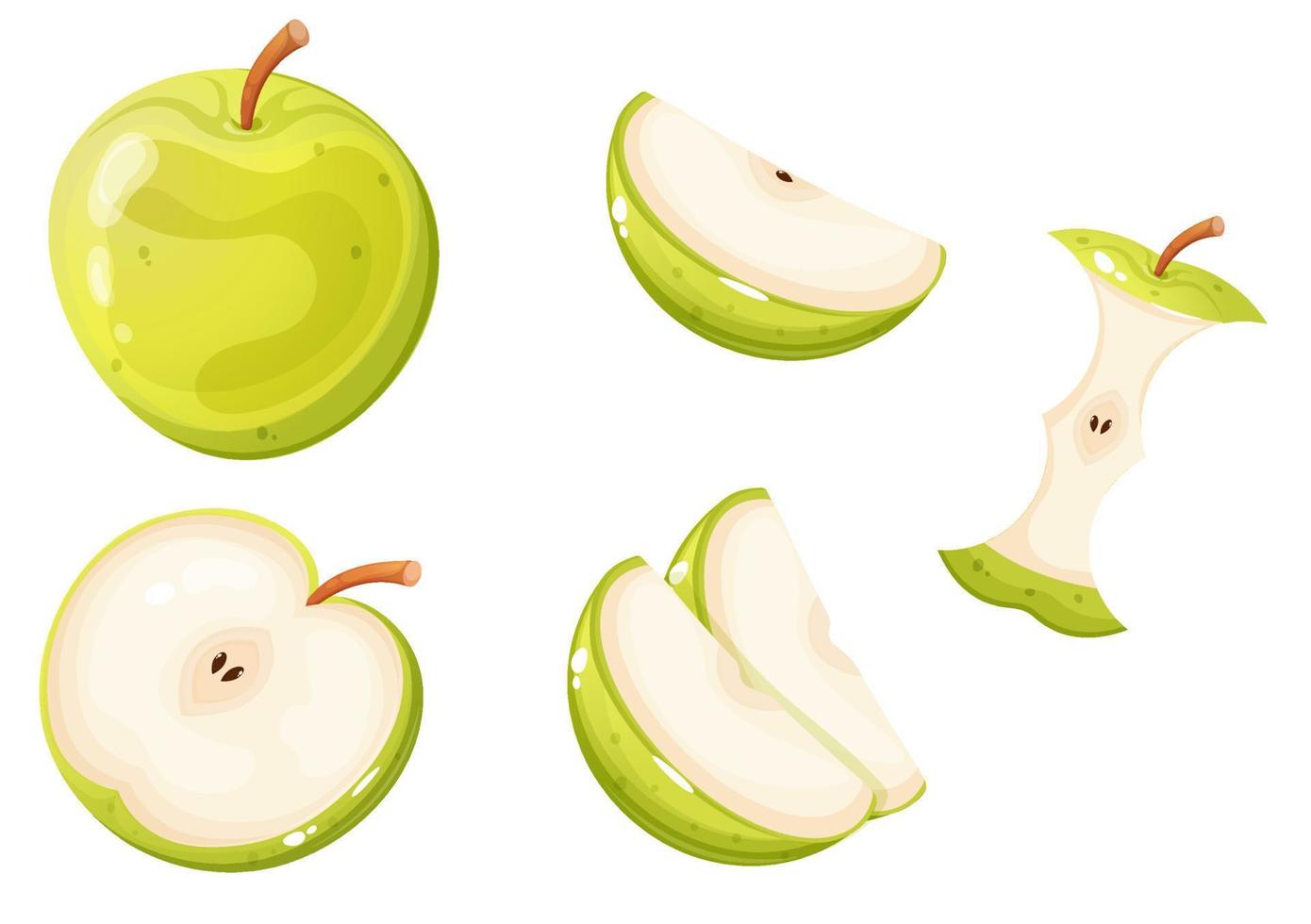 https://static.vecteezy.com/system/resources/previews/021/856/538/non_2x/whole-green-apple-and-different-apple-slices-vector.jpg