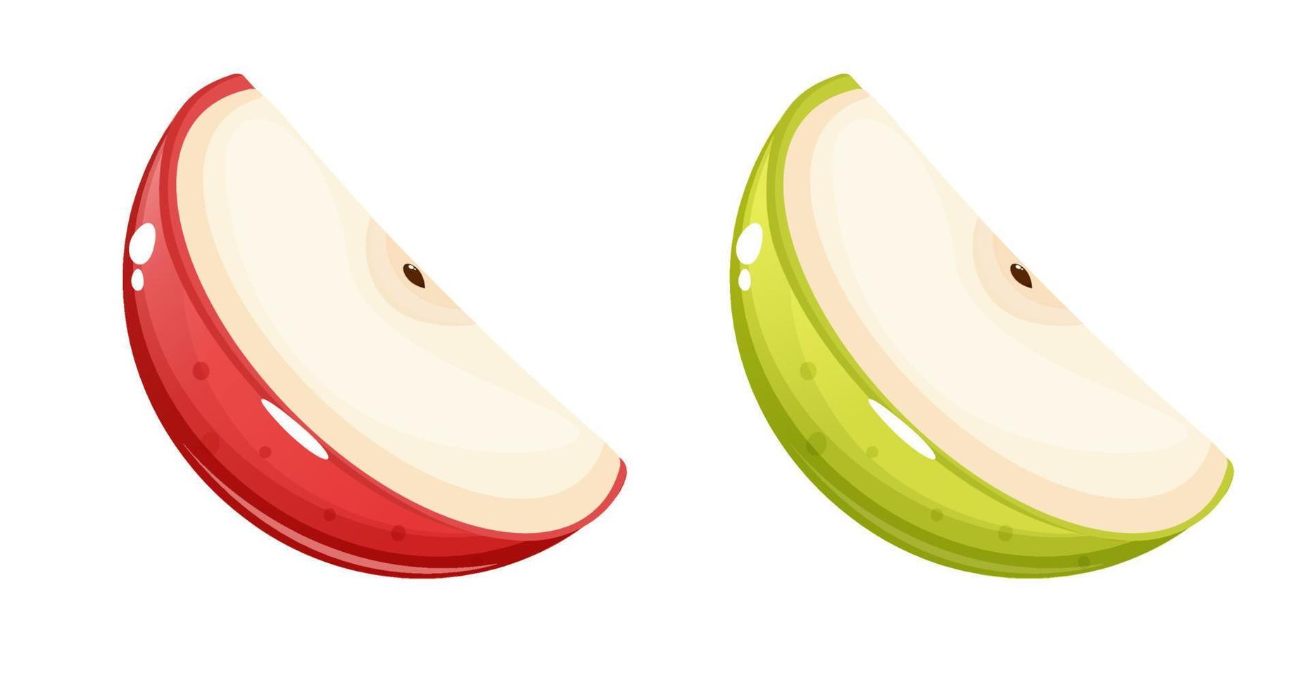 Red and green apple slices set. vector