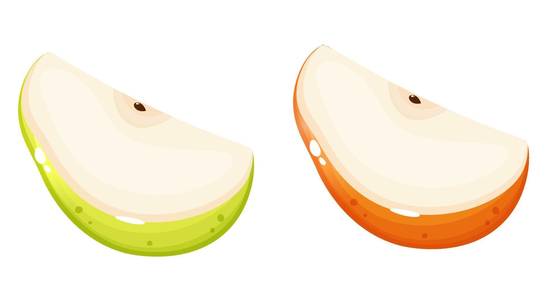 Orange and green pear slices set. vector