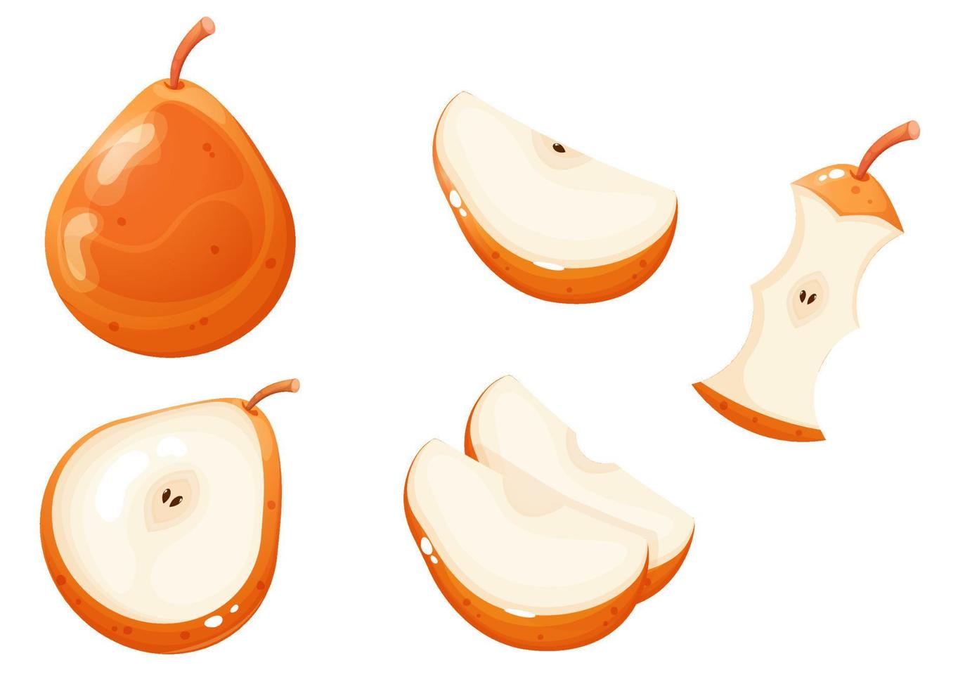 whole orange pear and different pear slices. cartoon style fruits. vector