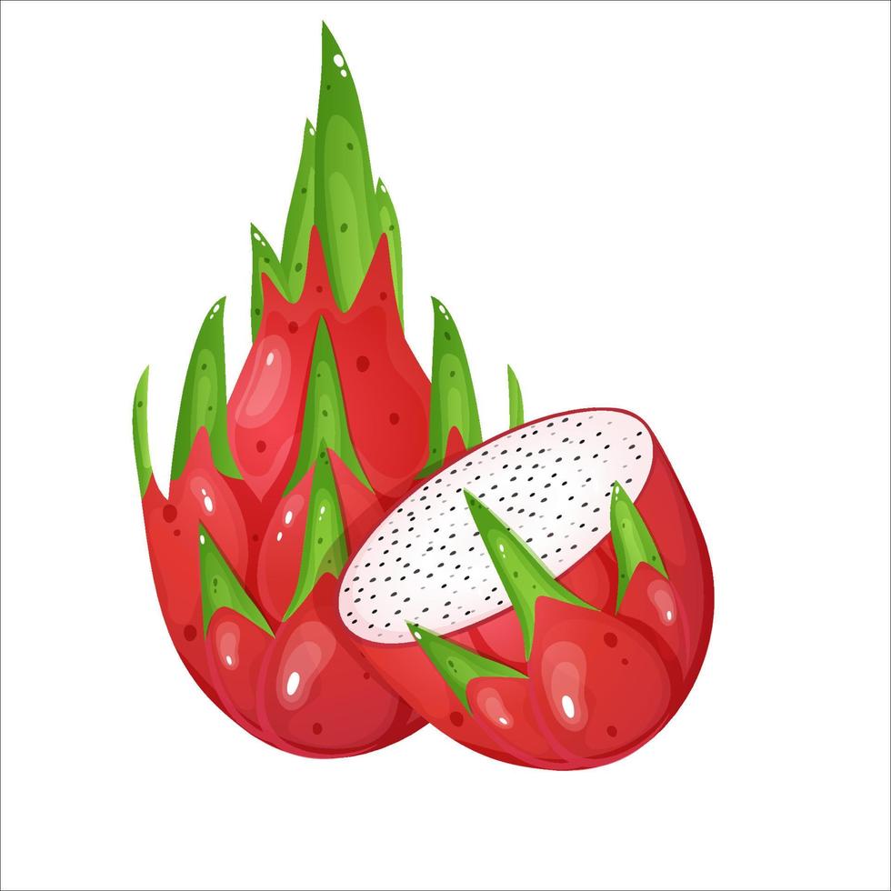 Pink whole dragon fruit with dragon fruit half. Cartoon style vector illustration.
