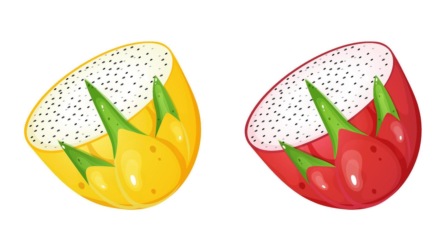 Yellow and pink dragon fruit half. vector