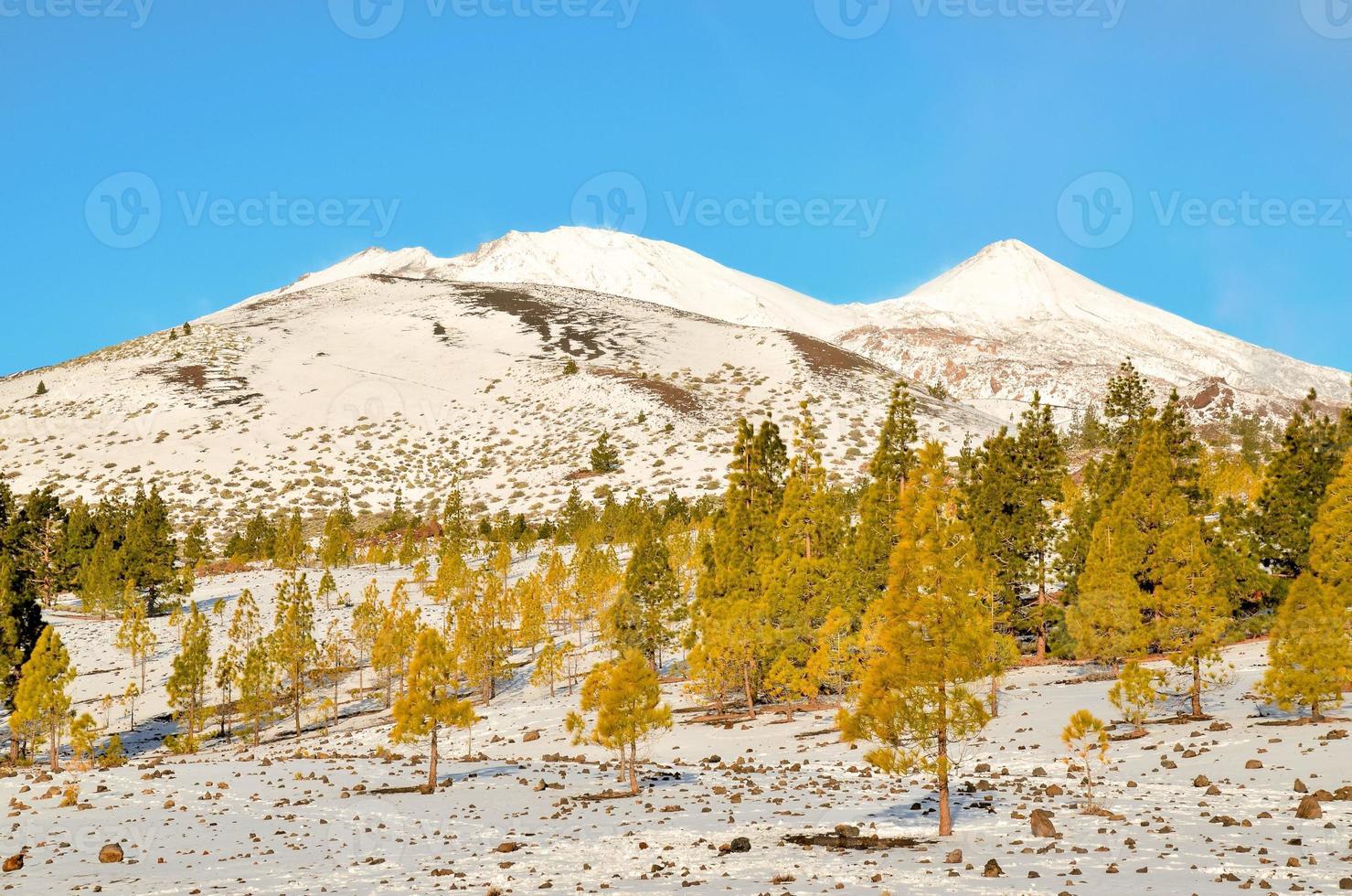 paisaje escénico de montaña foto