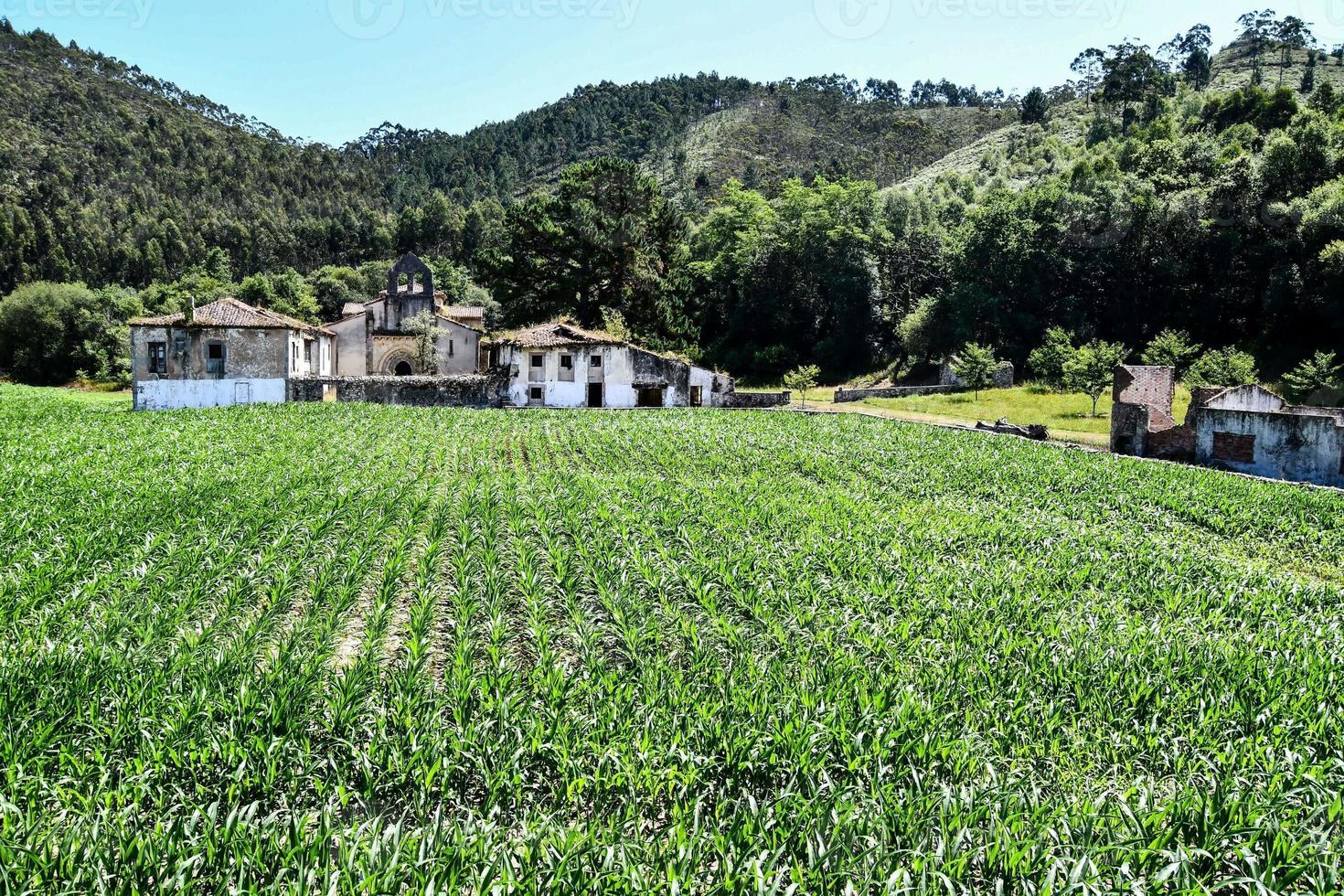 escénico rural paisaje foto