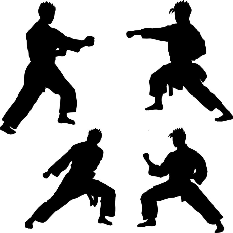 karate icon vector
