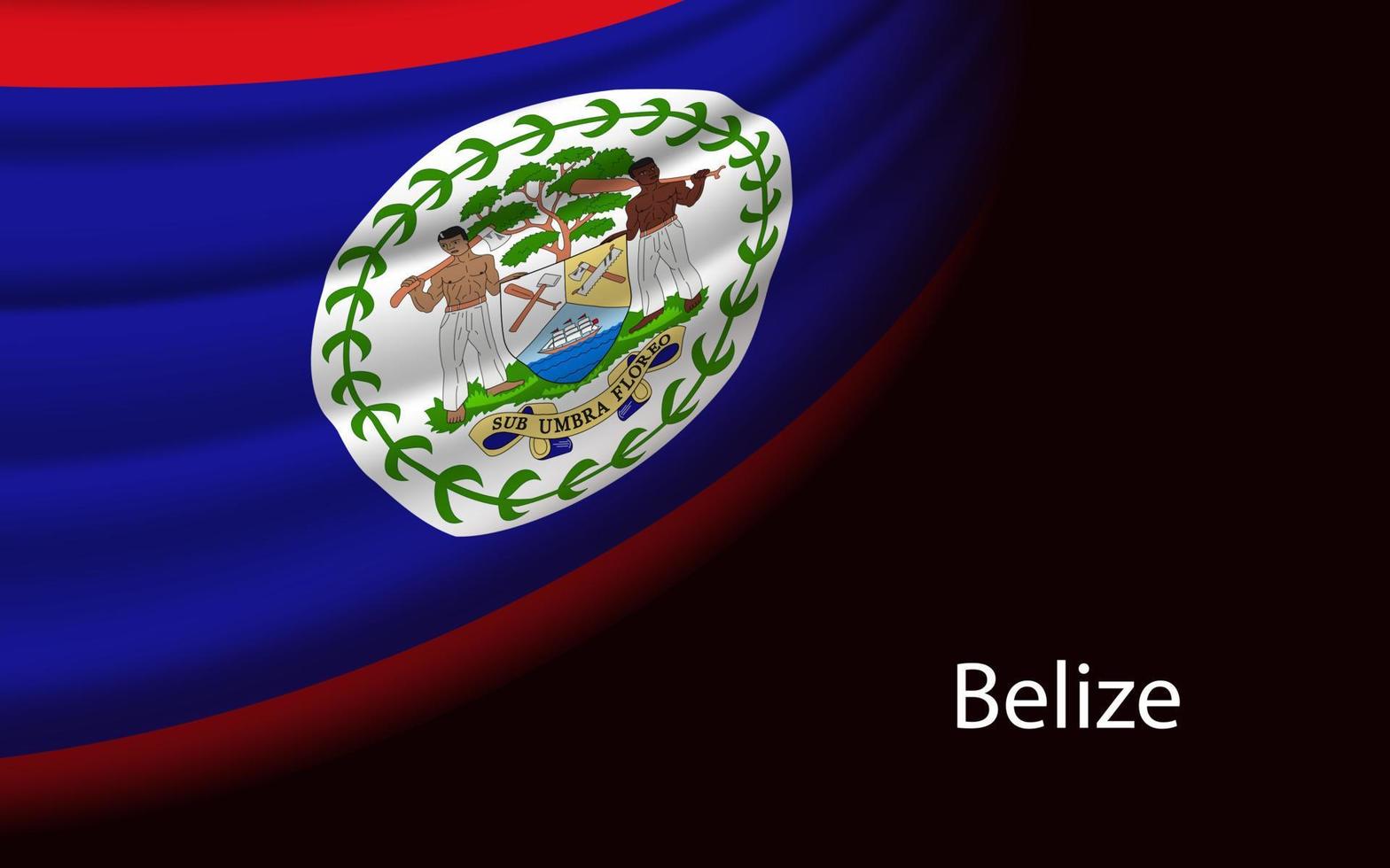 Wave flag of Belize on dark background. vector