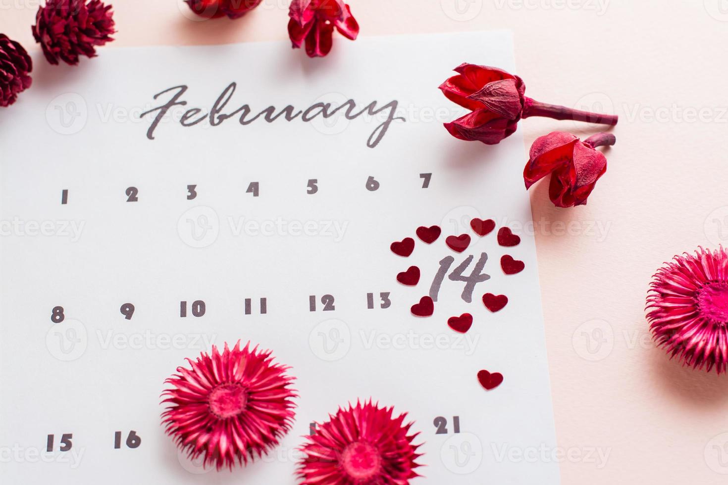 San Valentín día. pequeño rojo corazones realce el fecha febrero 14 en el calendario sábana y seco flores en un rosado antecedentes. foto