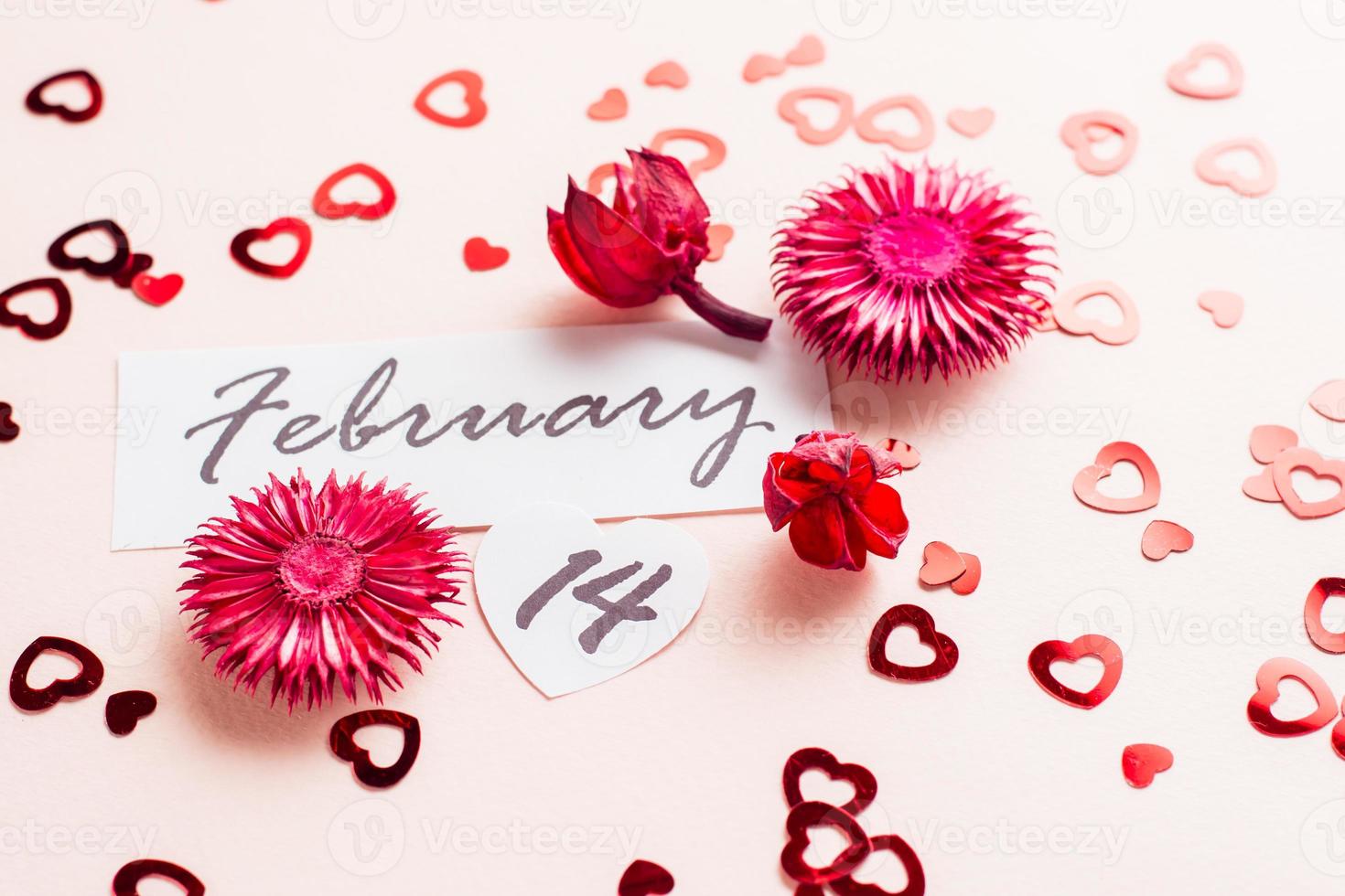 Valentine's Day. Date of February 14 and dry flowers on a pink background strewn with hearts. Close-up photo