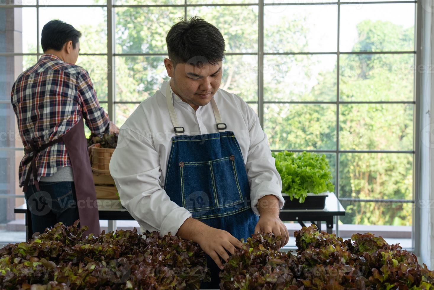 joven asiático verdulero de venta Fresco orgánico verde lechuga en local mercado foto