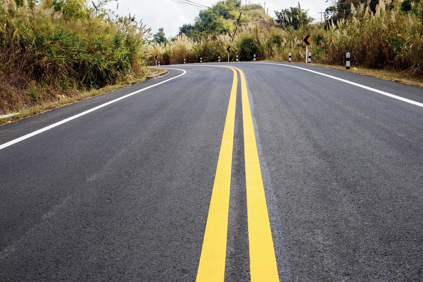 Traffic line on street. photo