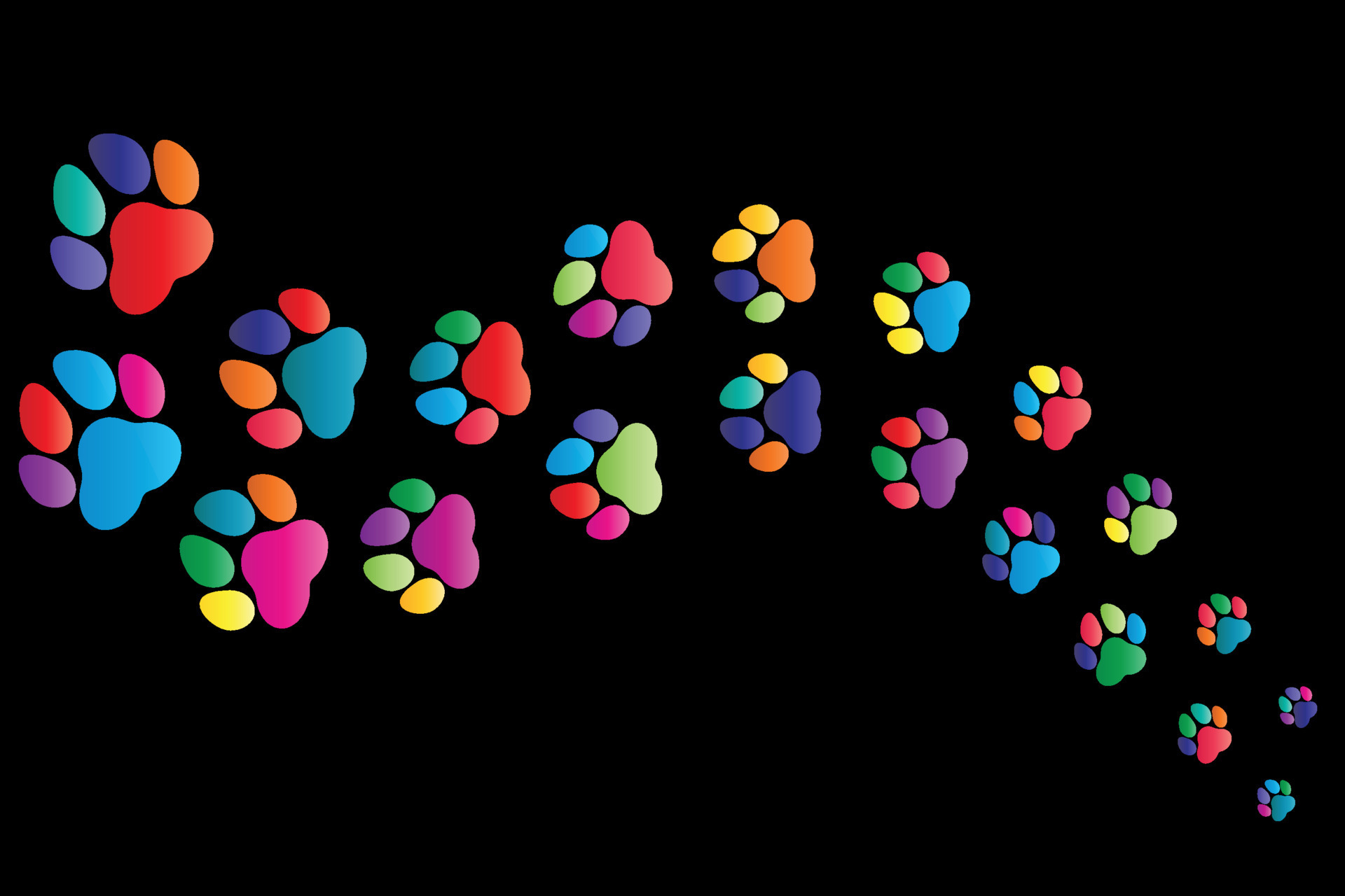 path and trail of colored dog footprints moving away animal footprint