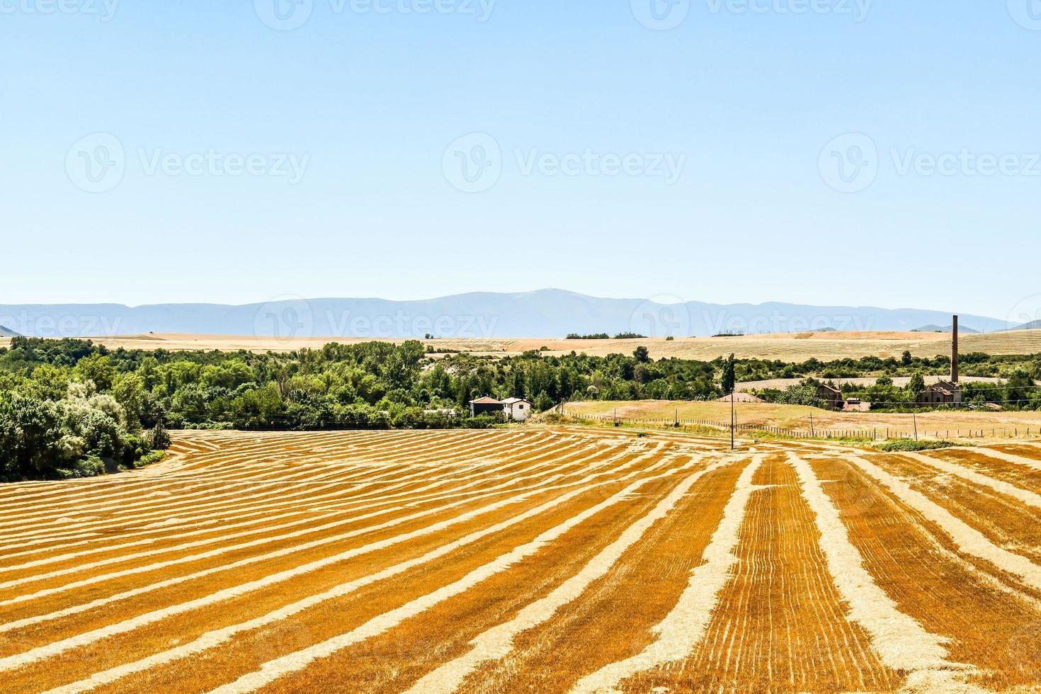 Scenic rural landscape photo