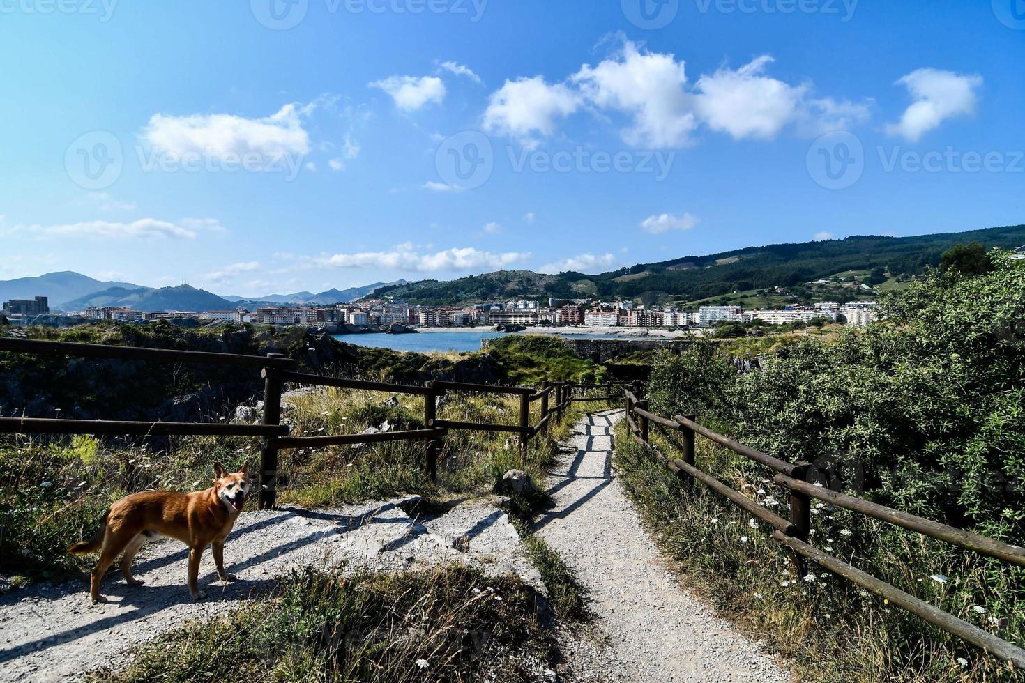 Scenic rural landscape photo