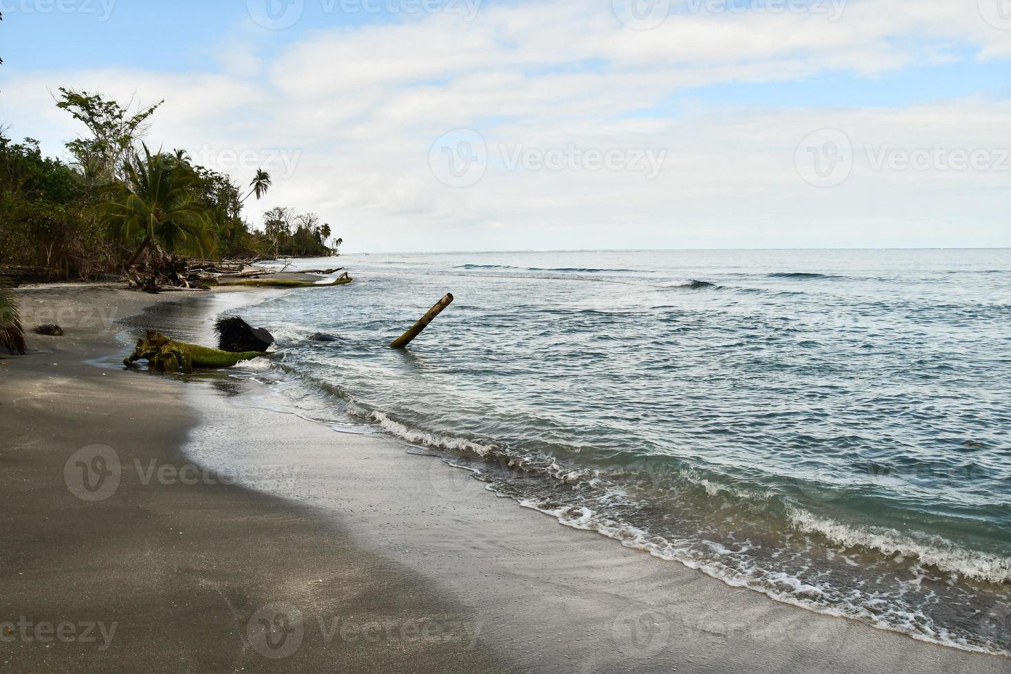 Scenic coastal view photo
