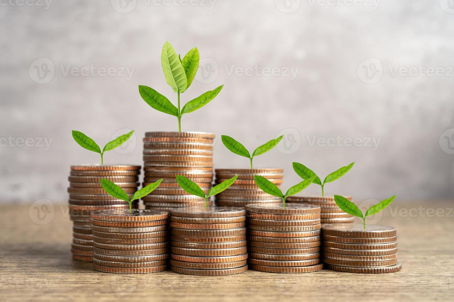 Tree plumule leaf on save money coins, Business finance saving banking investment concept. photo
