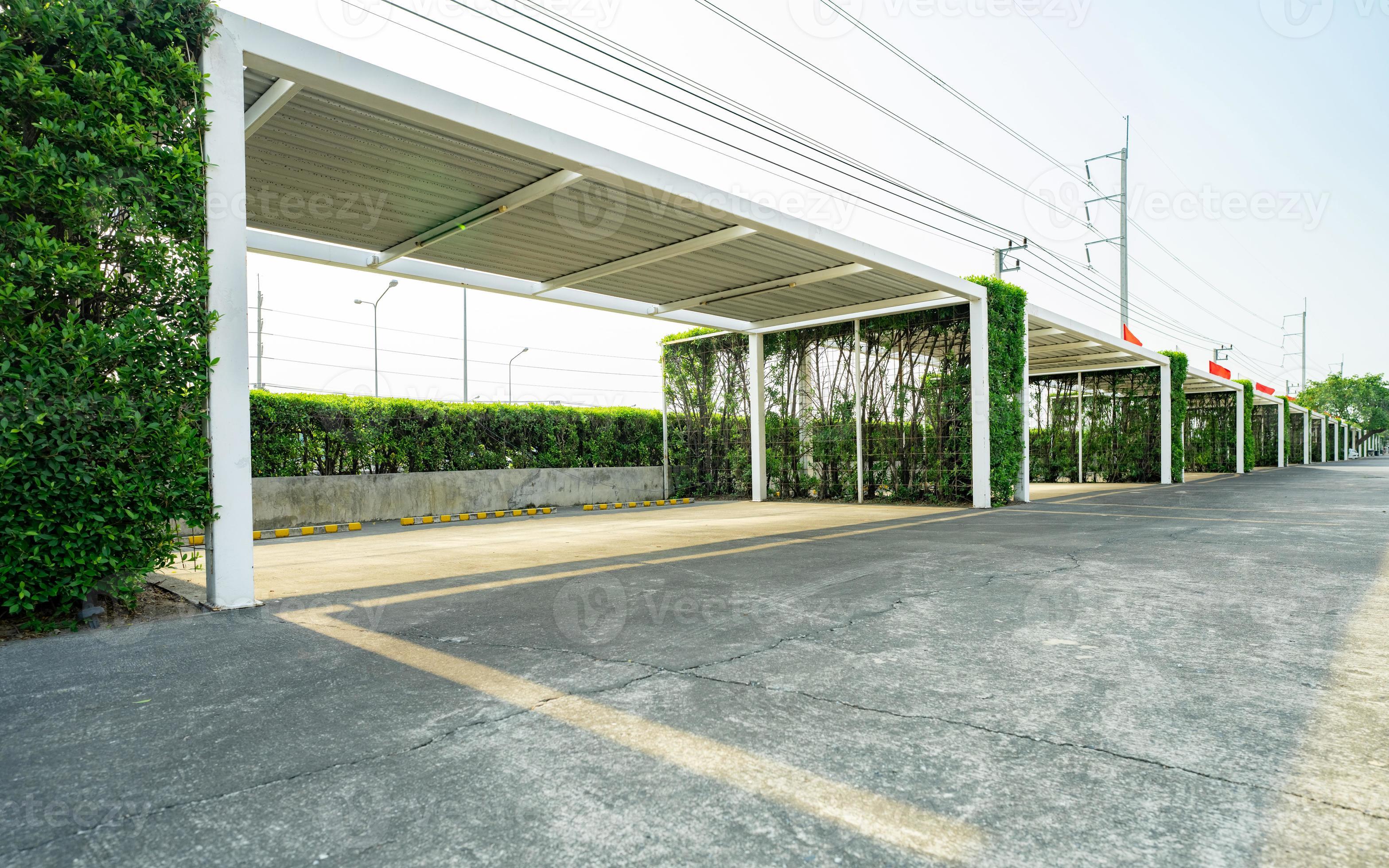 empty-car-parking-lot-with-green-hedge-tree-fence-parking-zone-on