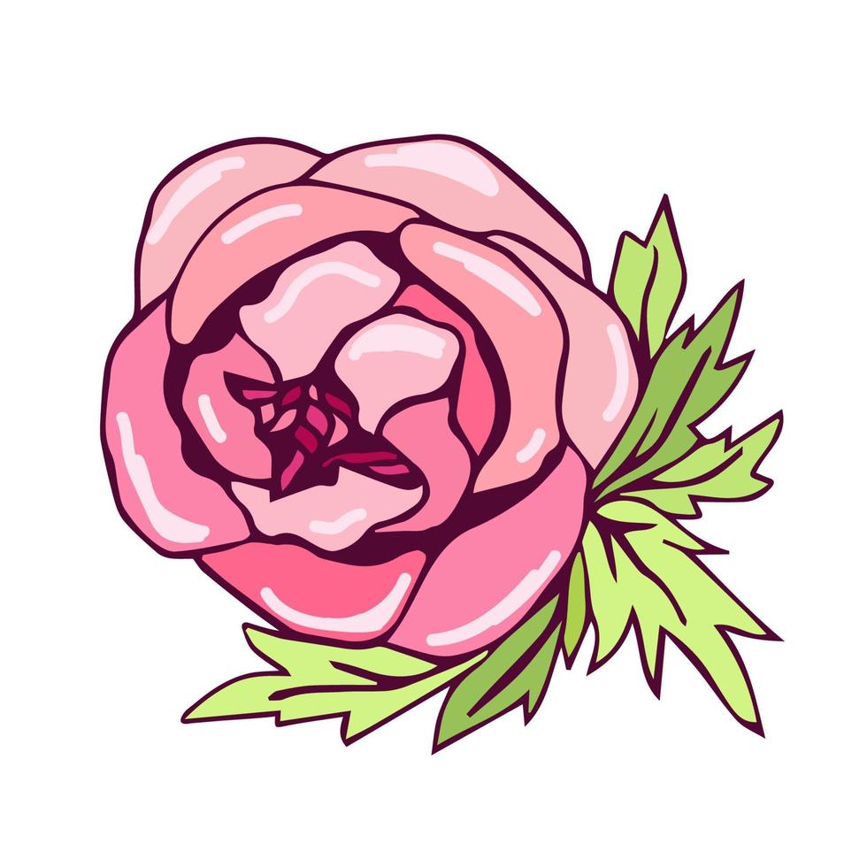 Colored hand-drawn vector illustration. Delicate pink peony flower isolated on white background. For print T-shirt, stickers, label, postcard.