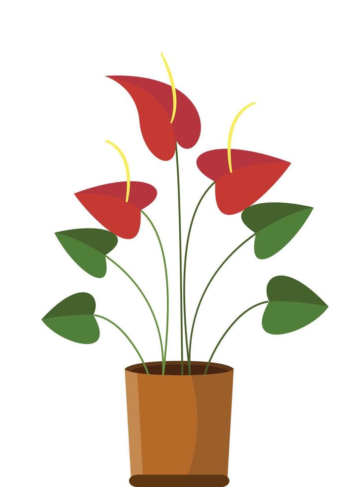 Potted plant Anthurium cartoon design flat vector illustration