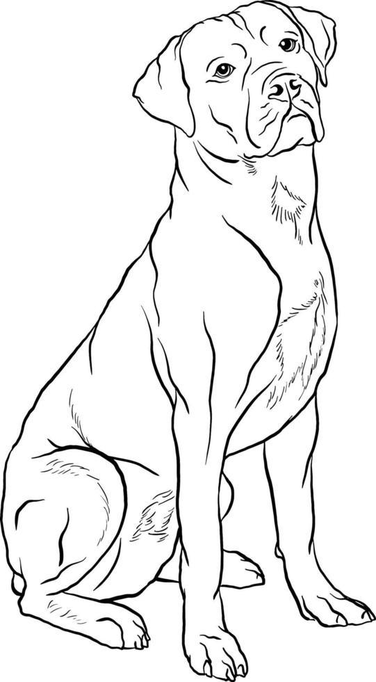 afador perro raza garabatear estilo línea dibujo vector negro y blanco ilustración