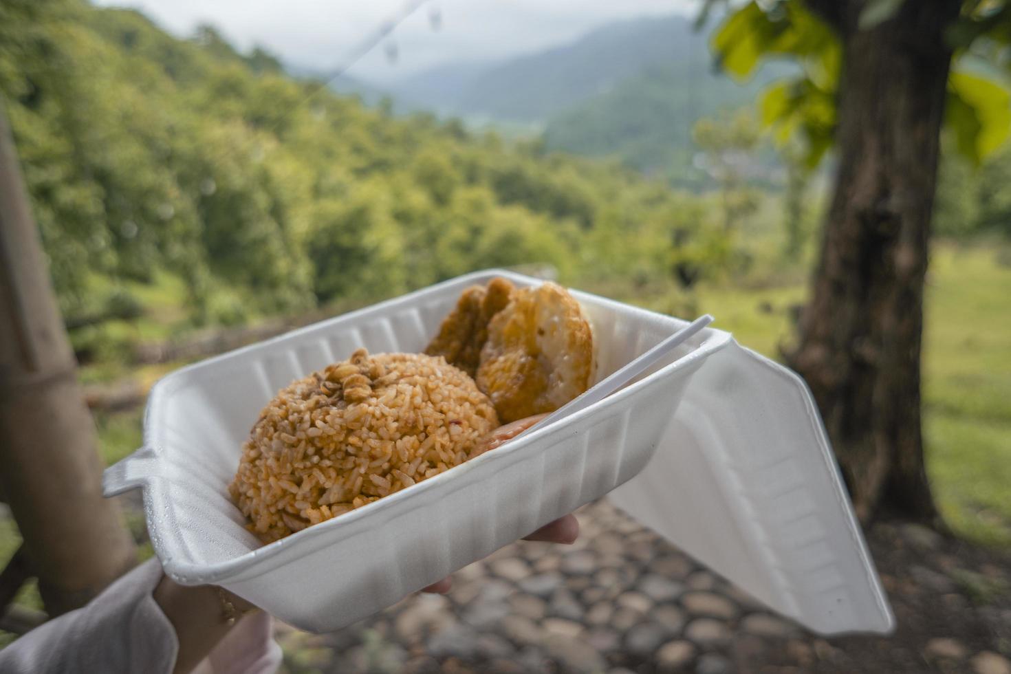 Close up photo of fried rice with nature background  when day time. The photo is suitable to use for food traveler background and foodies post content.