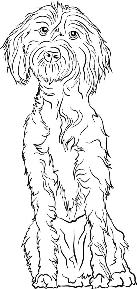 Afaird dog breed doodle style line drawing vector black and white illustration