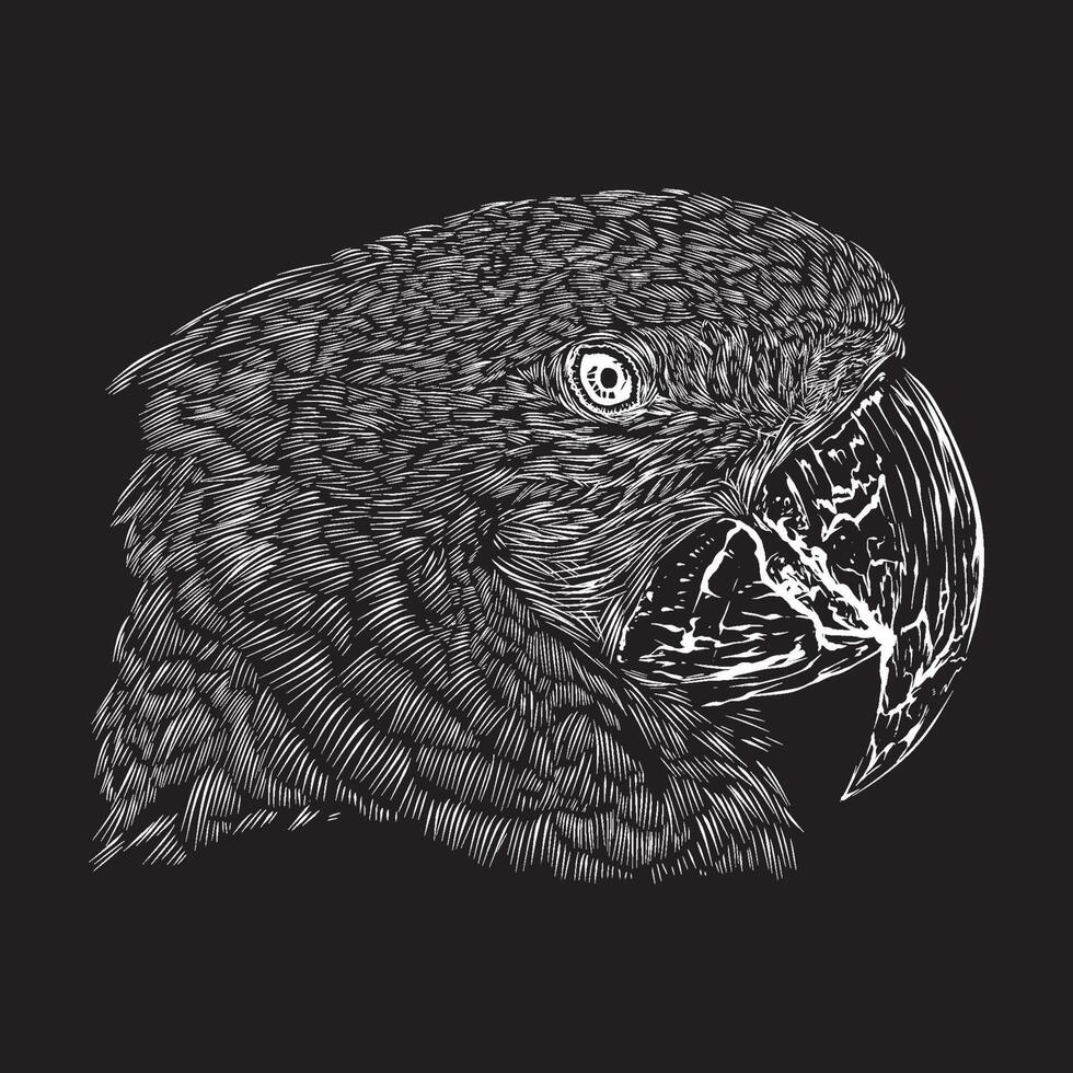 ilustración de guacamayo cabeza bosquejo dibujo grunge vector contorno animal