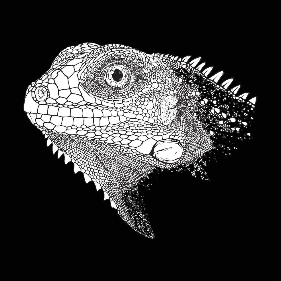 Illustration of iguana sketch drawing grunge vector outline animal
