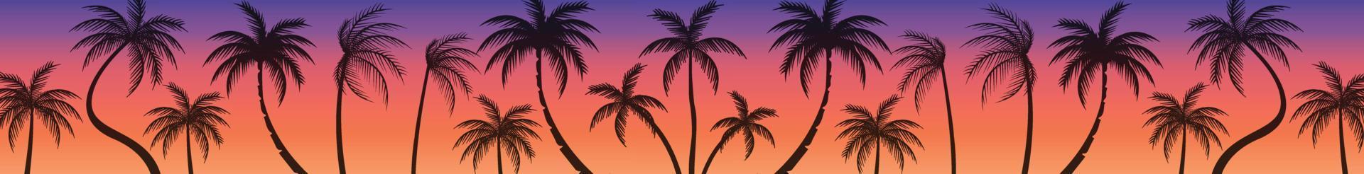 Palm tree with sunset view 21861268 Vector Art at Vecteezy