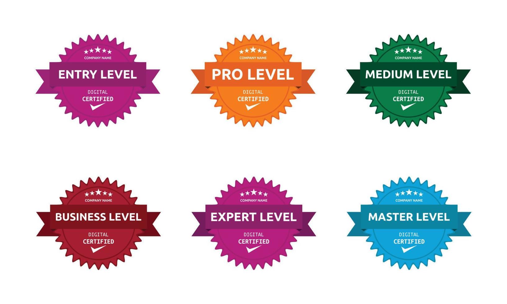 Organization Training Certification Badge Set, Certified Stamp For Company Members on Different Levels Seal With Premium Look vector