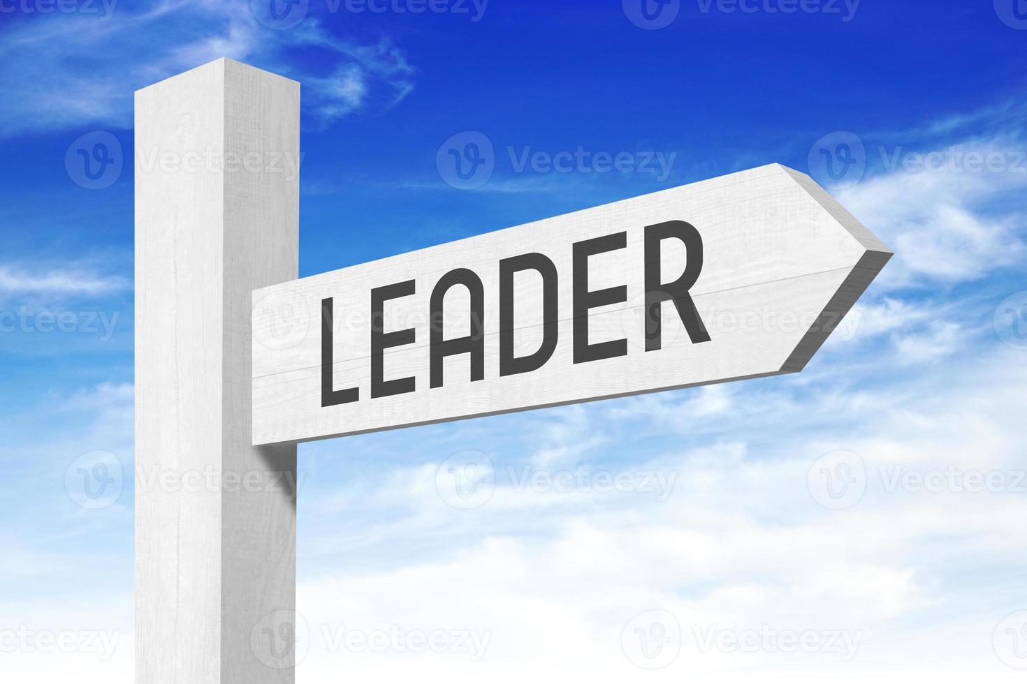 Leader - White Wooden Signpost with one Arrow photo