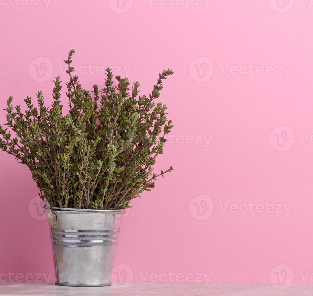 Thyme branch in a miniature metal bucket, aromatic spice for cooking, copy space photo