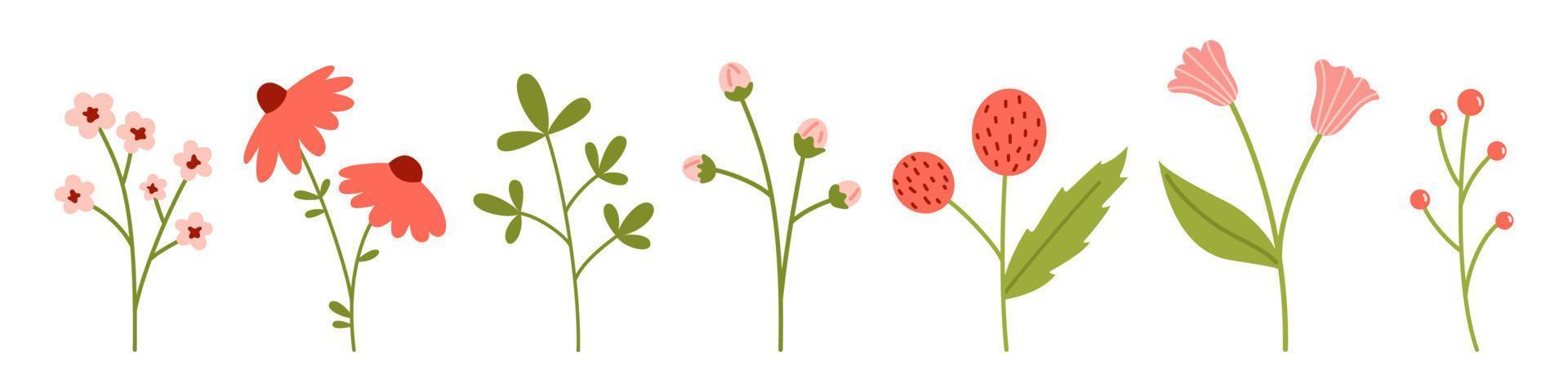 Vector set of various flowers in flat design. Collection of blooming flowers in soft pink and red color. Floral illustration. Spring botanical elements.