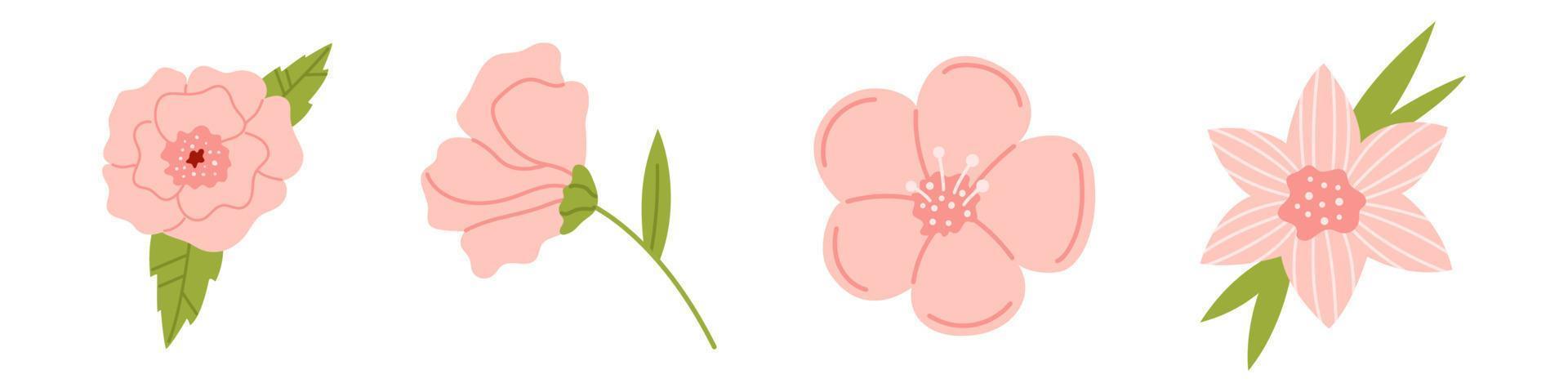 Vector set of soft pink flowers in flat design. Collection of delicate blossom flowers in petal pink color. Floral illustration.