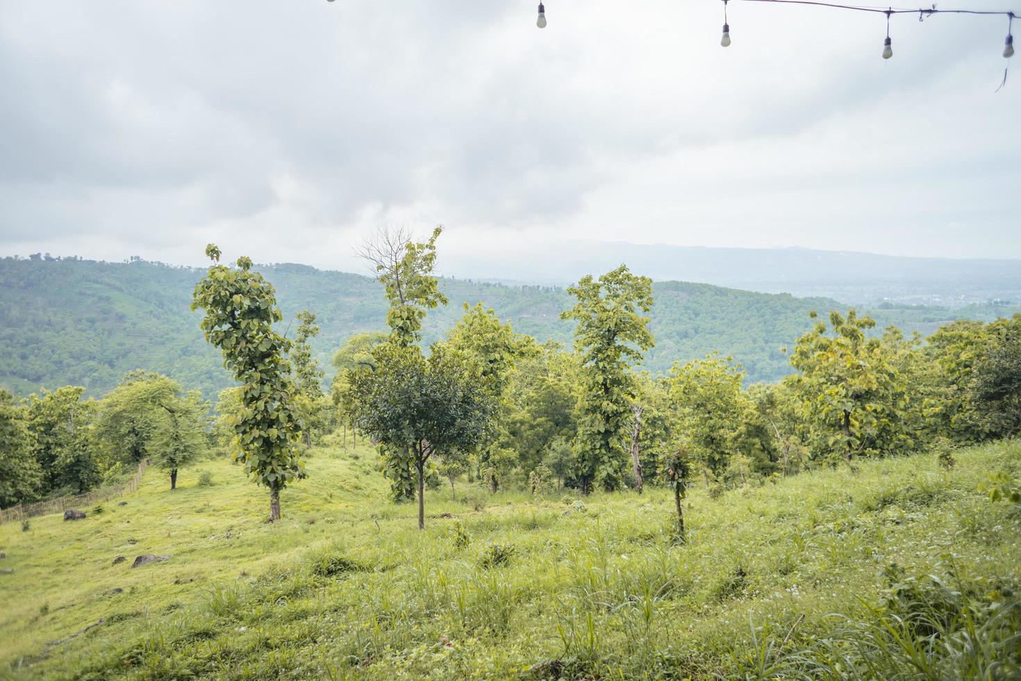 Scenic landscape of green hill view when cloudy sky after rain, Spring season East Java. The photo is suitable to use for nature background, holiday content social media and hill view poster.