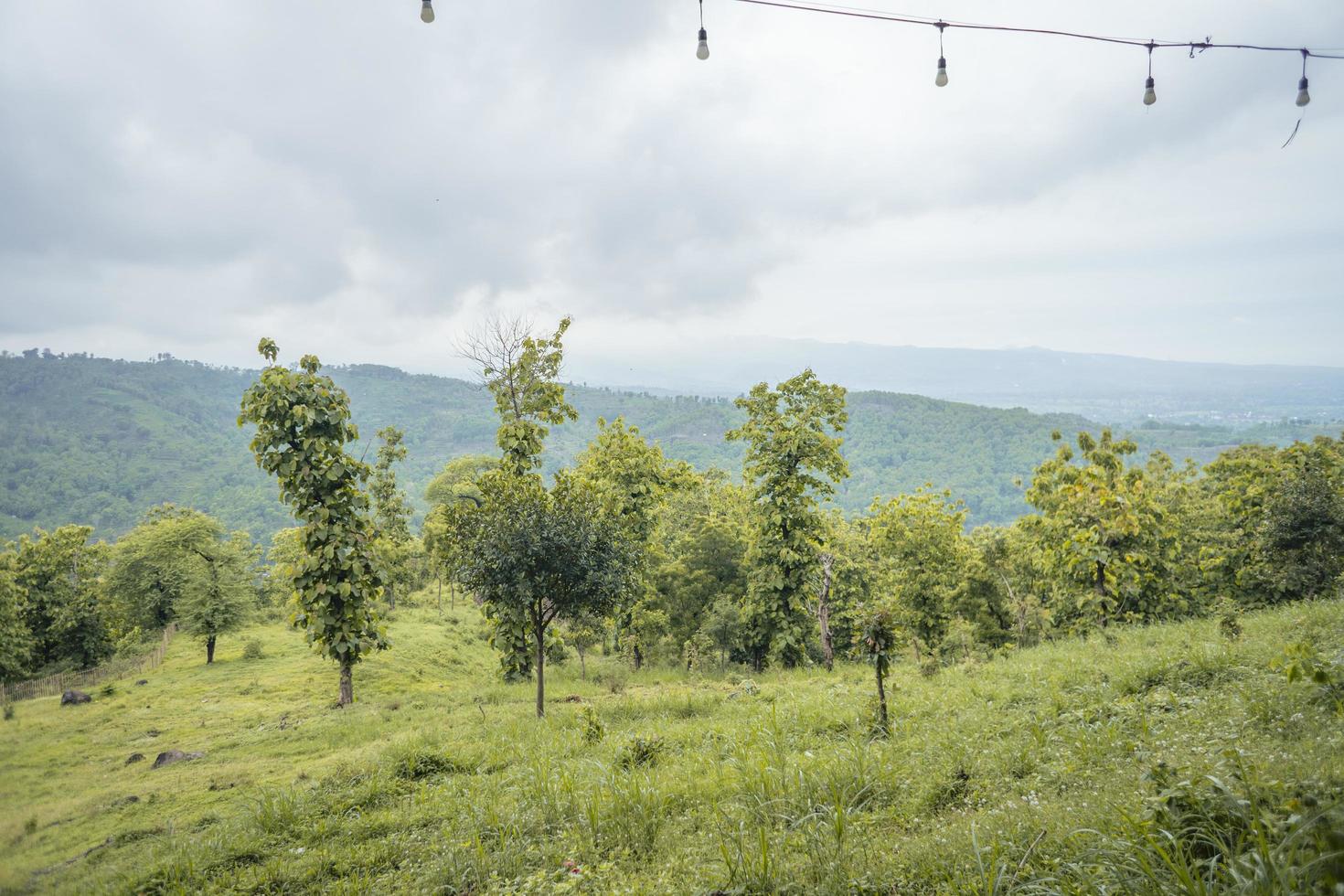Scenic landscape of green hill view when cloudy sky after rain, Spring season East Java. The photo is suitable to use for nature background, holiday content social media and hill view poster.