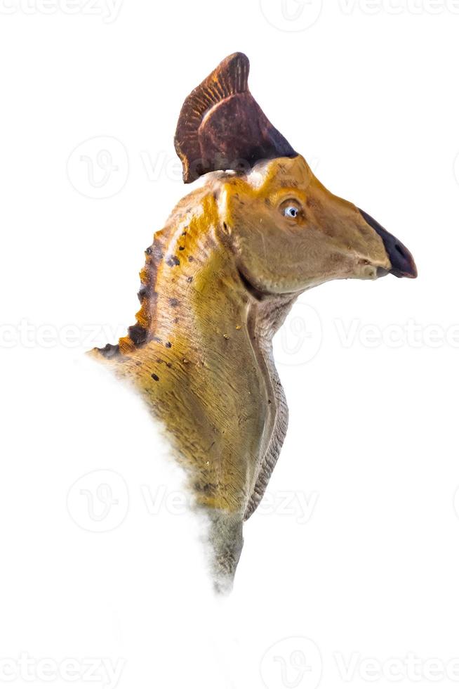 The head of  Olorotitan , dinosaur on  isolated background  . photo