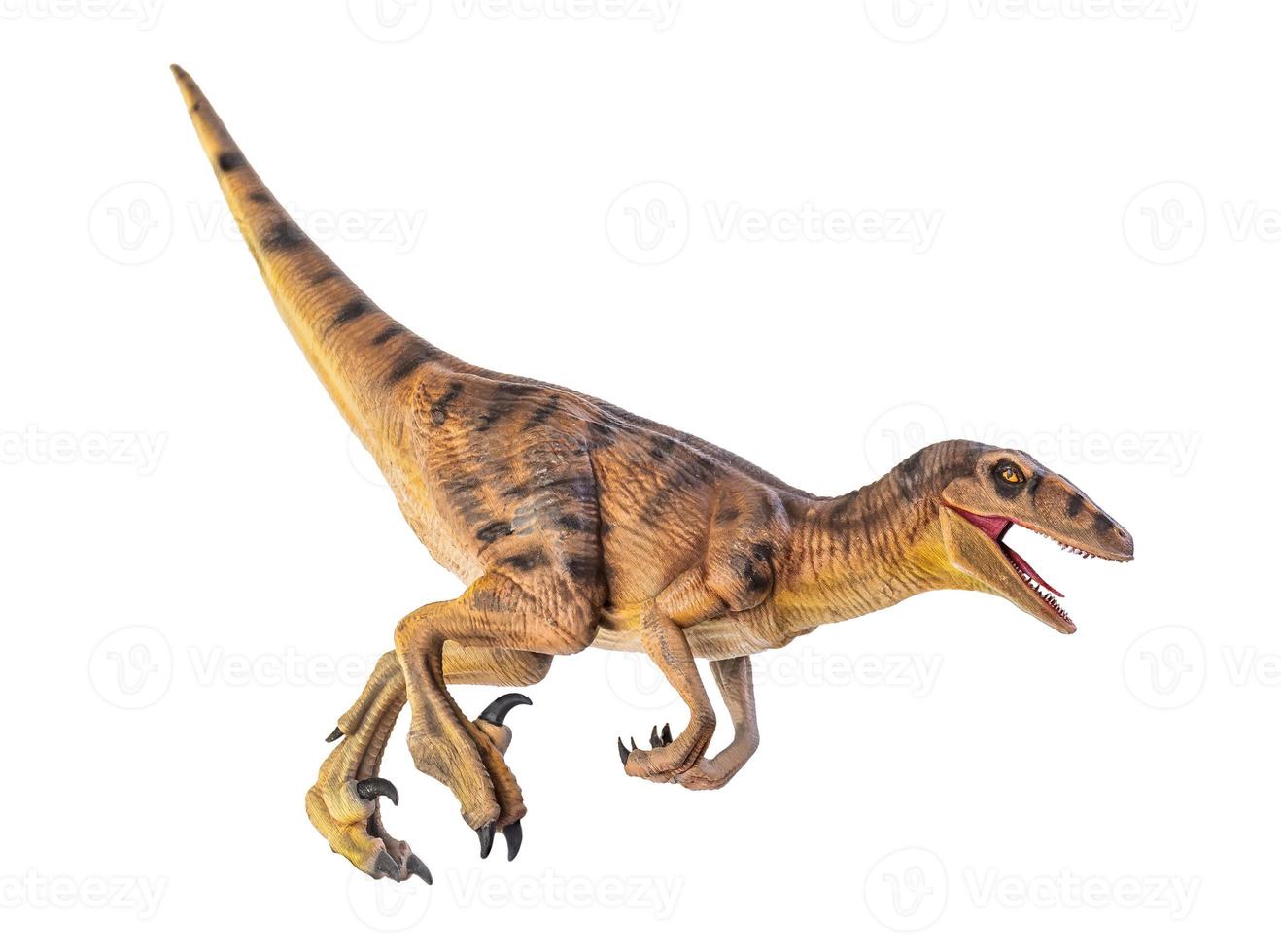 dinosaurio , velociraptor aislado antecedentes foto